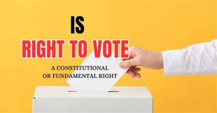 What is the ability to vote called?