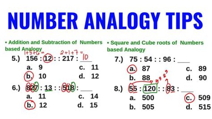 What is the analogy of number?