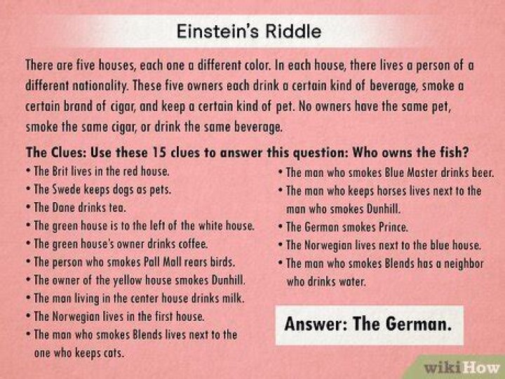 What is the answer to the Einstein riddle?