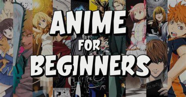 What is the best anime for beginners?