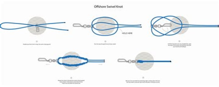 What is the best knot to tie on a swivel?