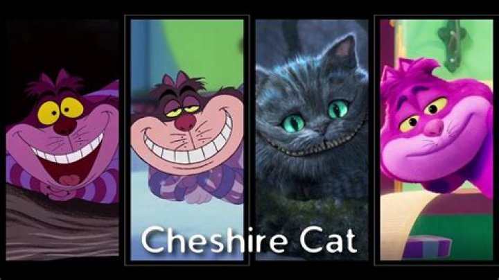 What is the cats name in the witches?