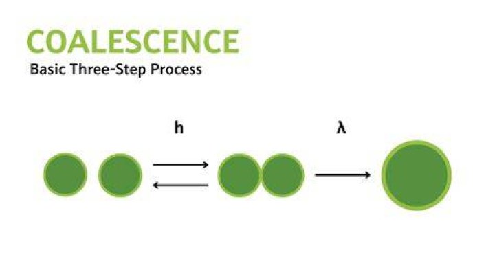 What is the definition of coalescent?