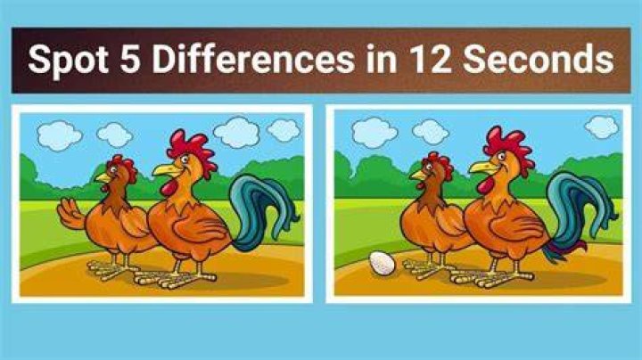 What is the difference between a problem and a puzzle?