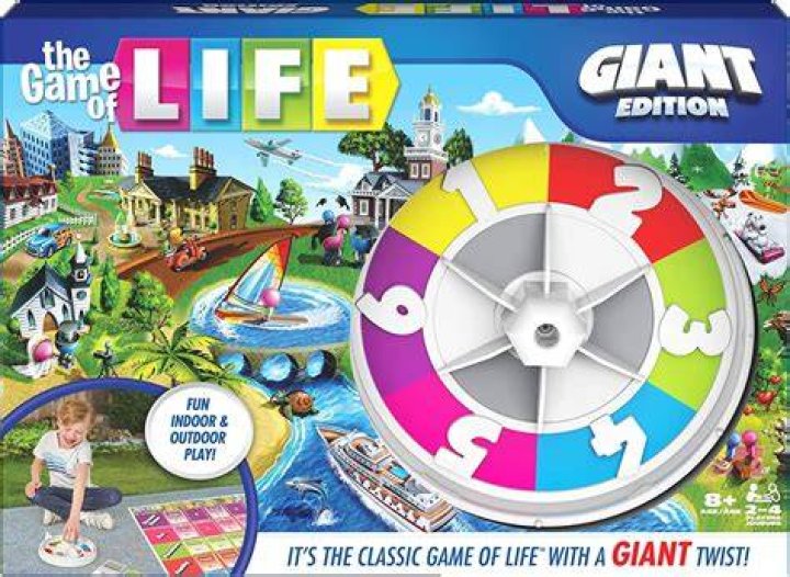 What is the game of life theory?