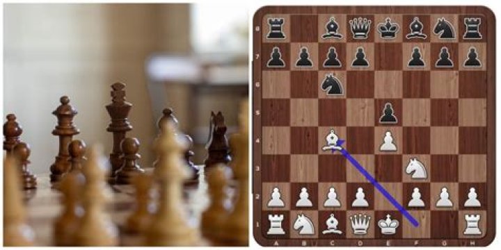 What is the goal of a chess opening?