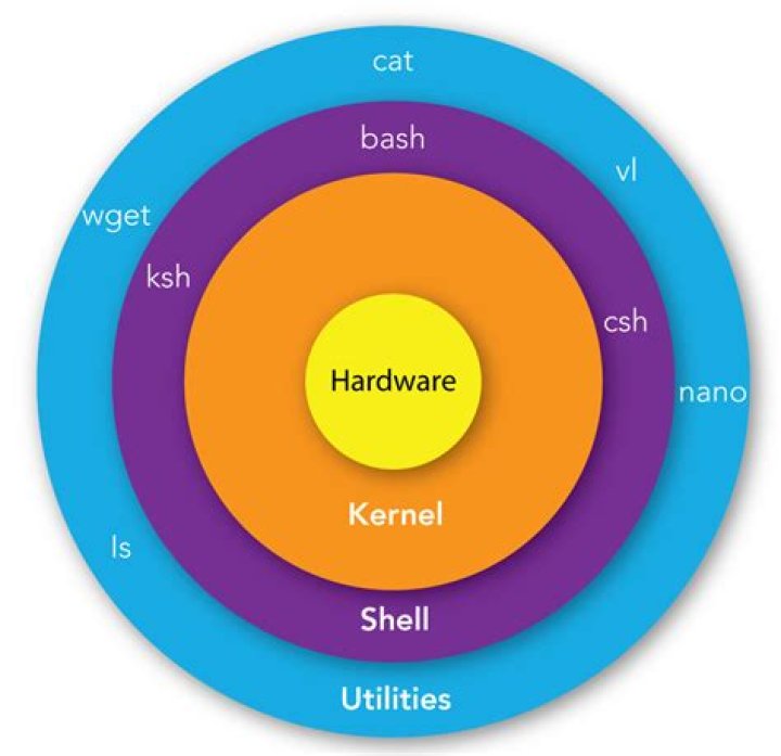 What is the kernel and shell?
