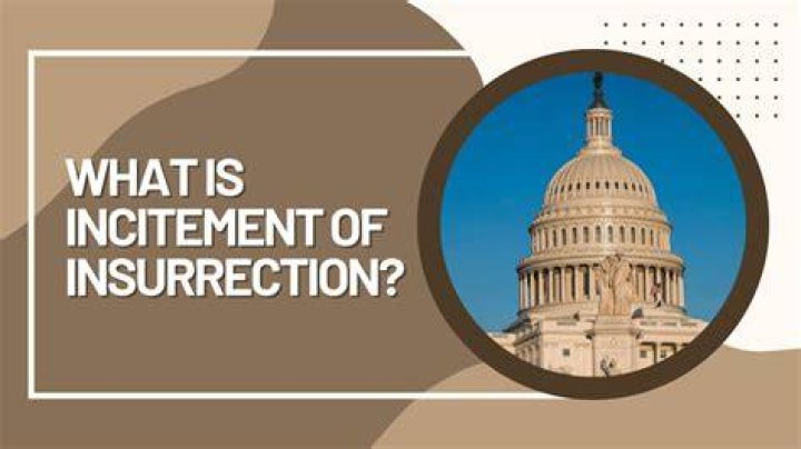 What is the legal meaning of insurrection?