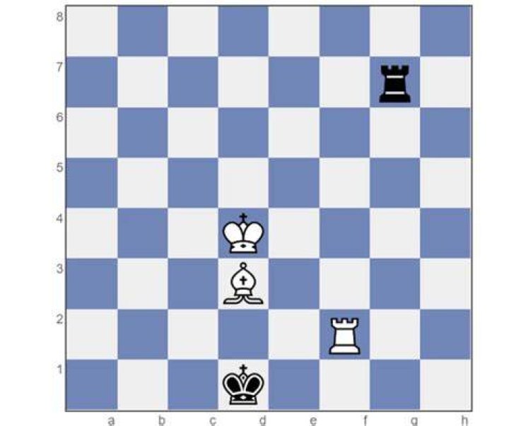 What is the longest chess puzzle?