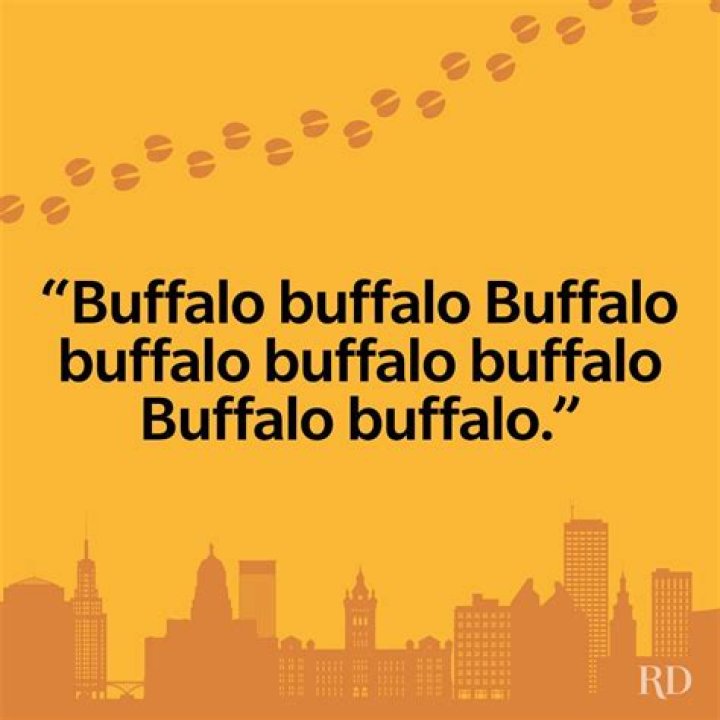 What is the longest sentence with one word?
