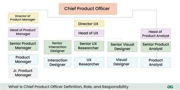 What is the meaning CPO?