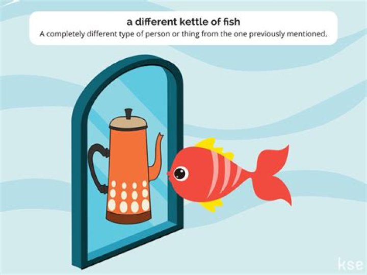 What is the meaning of a kettle of fish?
