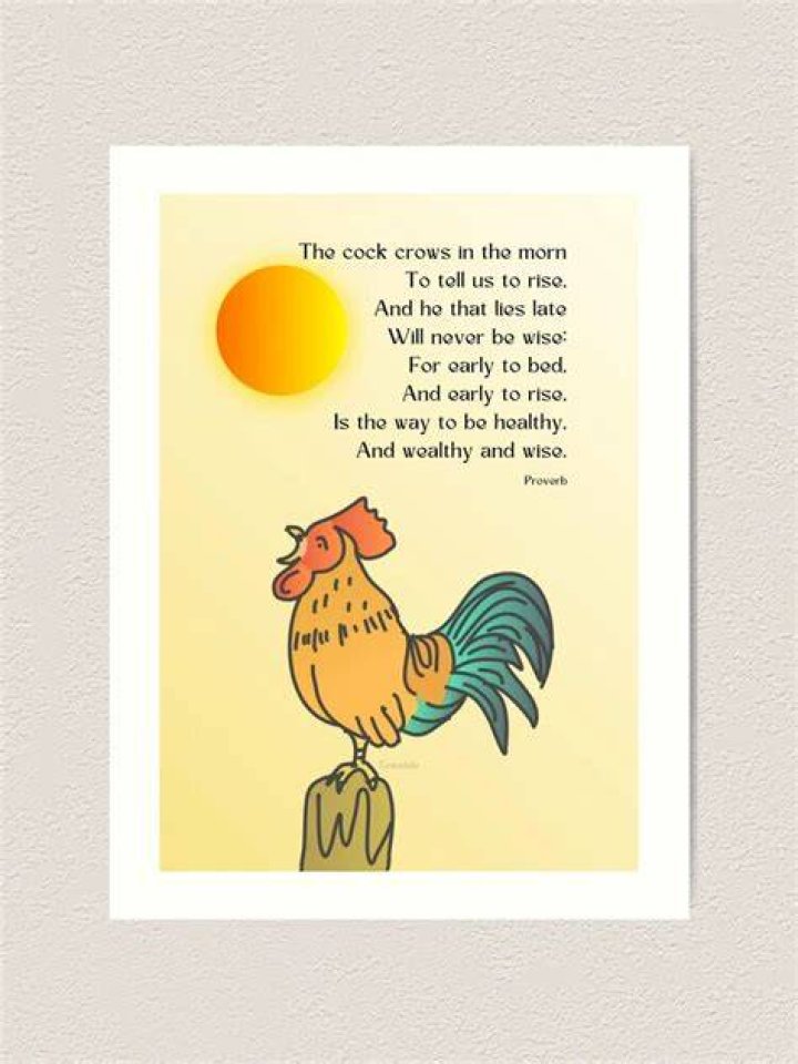 What is the meaning of this proverb early to bed early to rise?