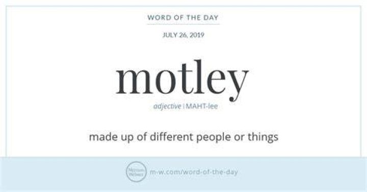What is the meaning of word motley?