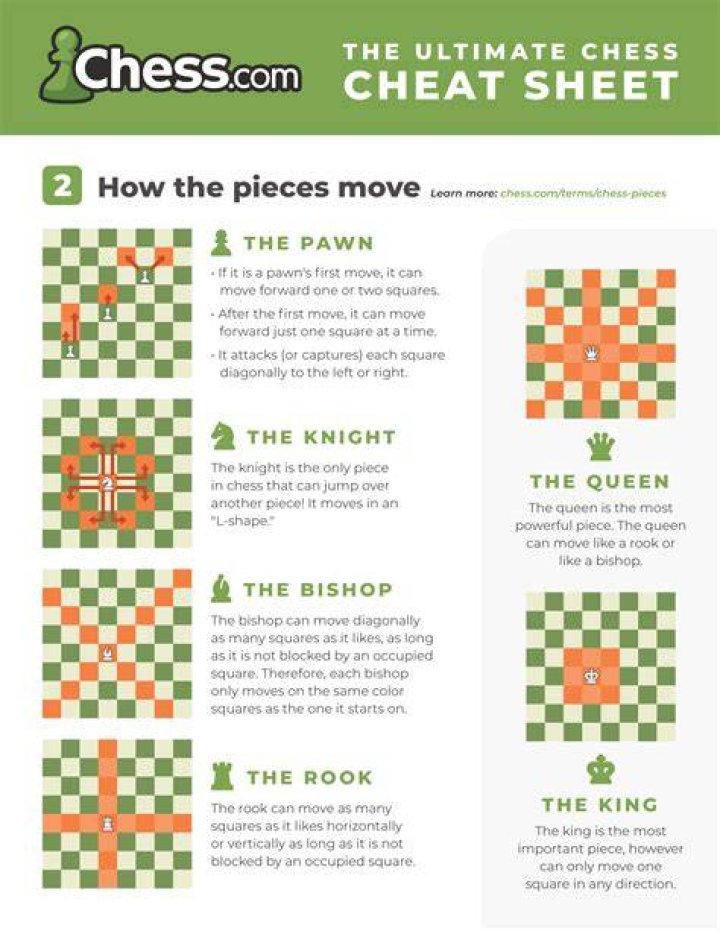 What is the most used piece in chess?