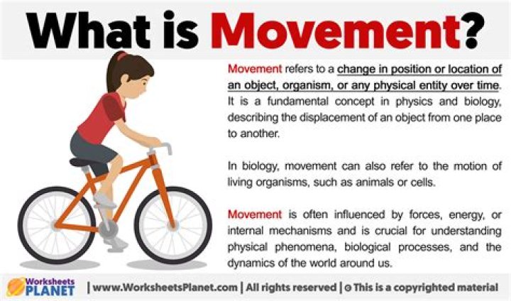 What is the movement of ant?