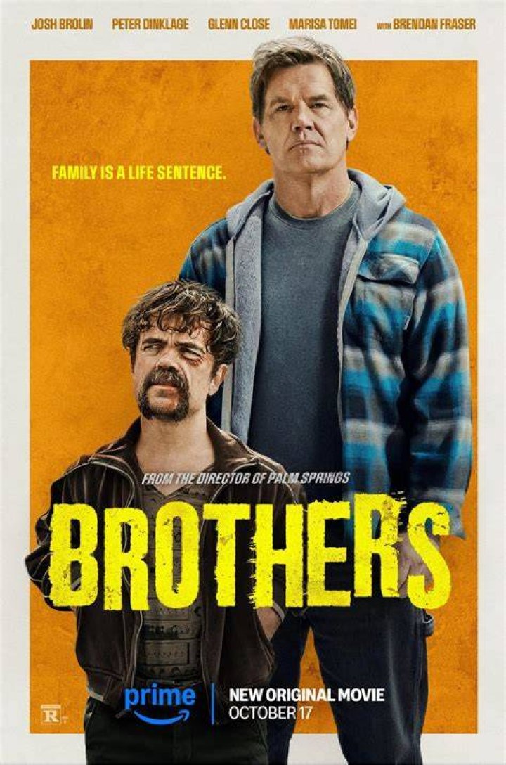 What is the movie two brothers about?