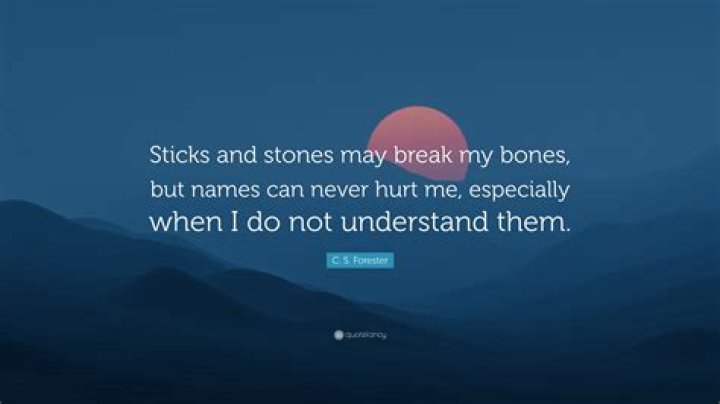 What is the old saying sticks and stones may break my bones?