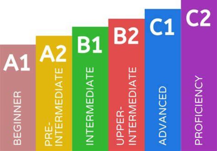 What is your Intermediate?
