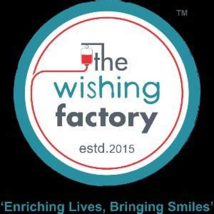 What kind of organisation is the wishing factory?