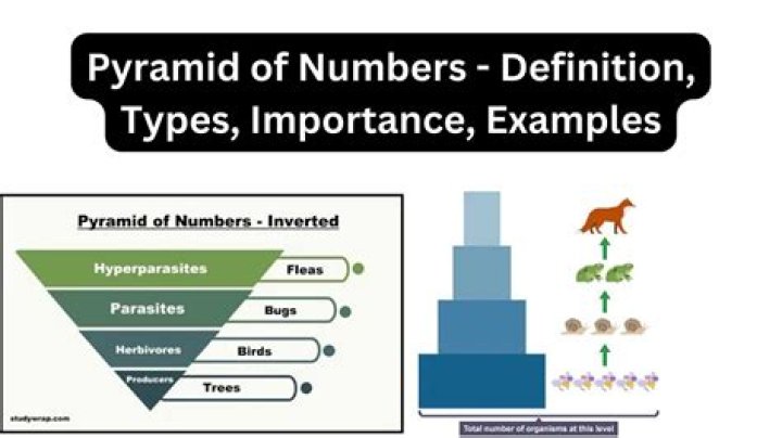 What numbers make a pyramid?