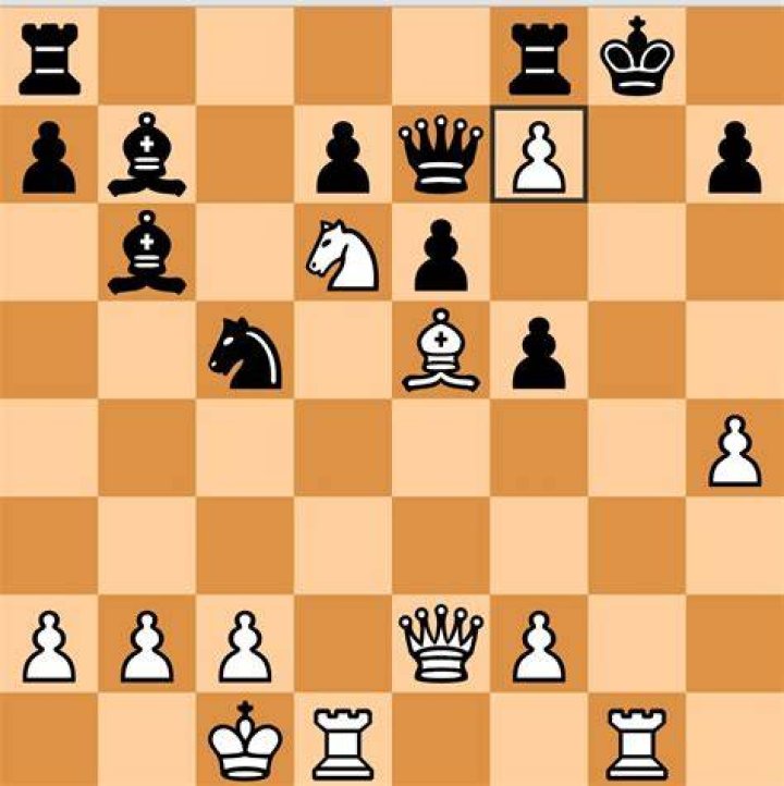 What pieces can not checkmate?