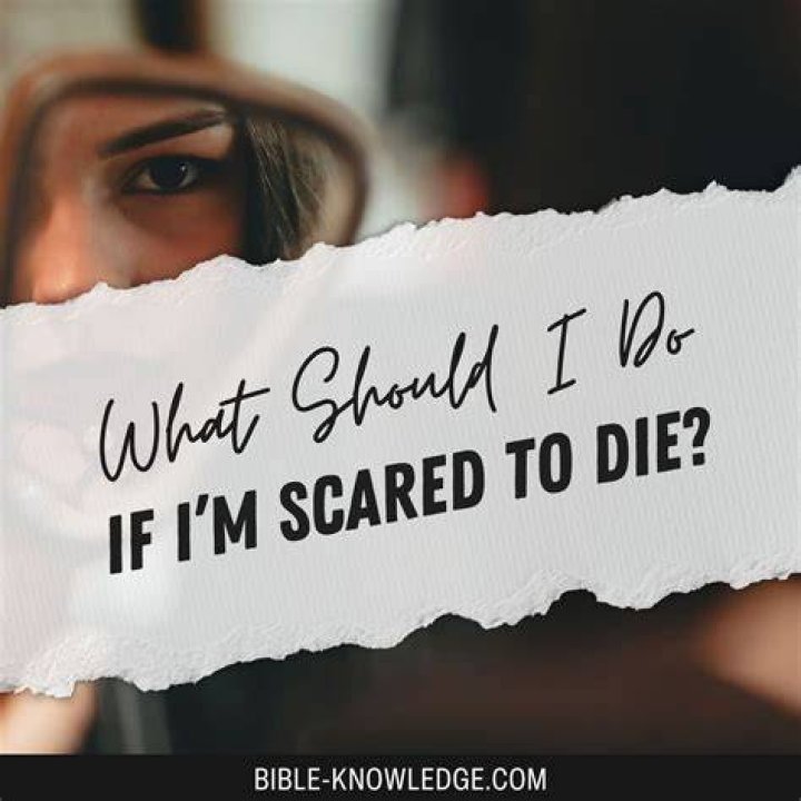 What should I do if I am confused?