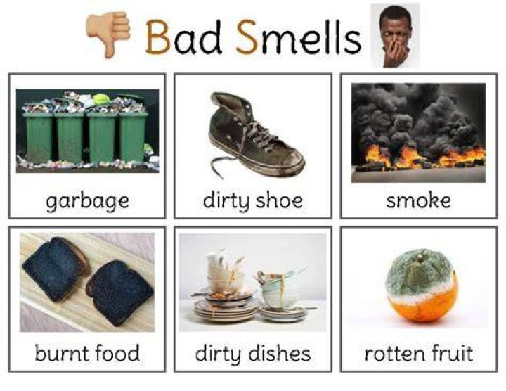 What smells bad but good dead?