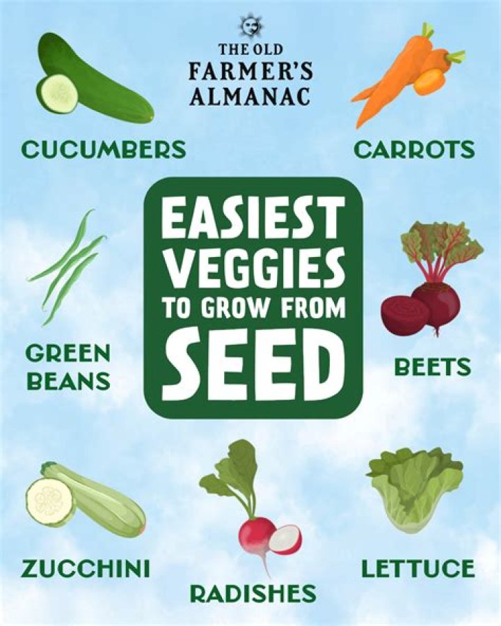 What vegetable is easiest to grow?