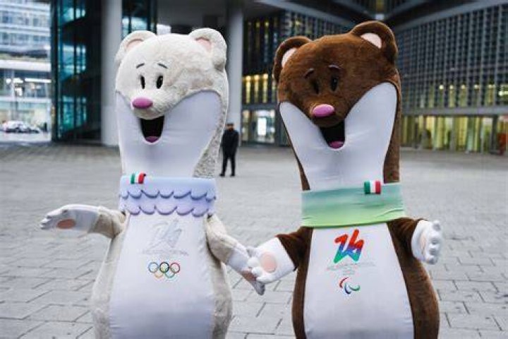 What was the name of the Winter Olympics in 2014?