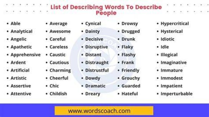 What word describes many things?