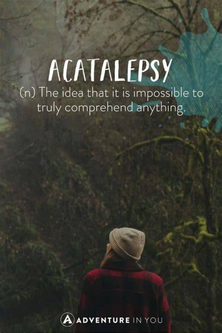 What word has a lot of meanings?