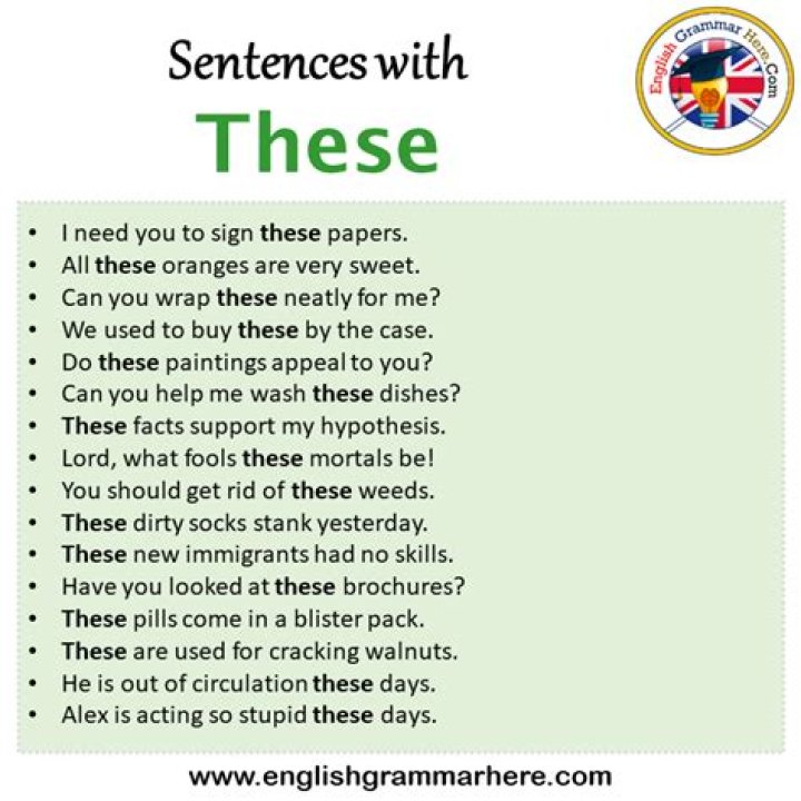 What word type is these?
