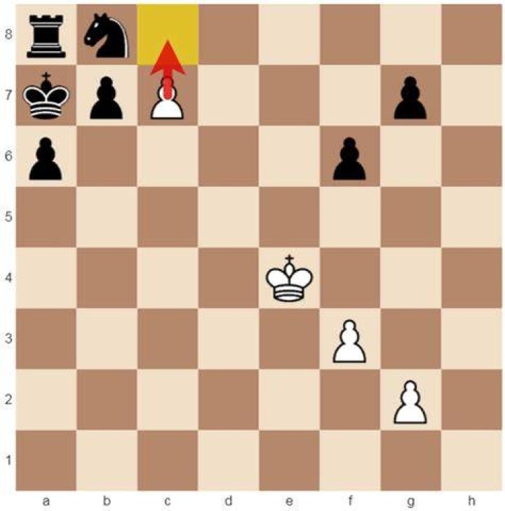 When did pawn promotion start?