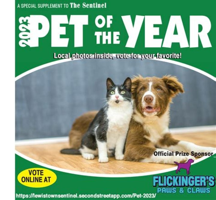 When does pet of the year come out?