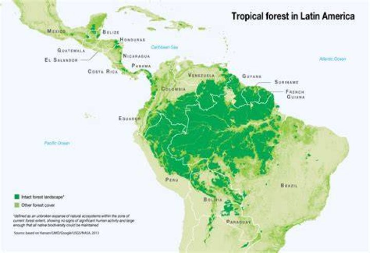 Where are the jungles in South America?