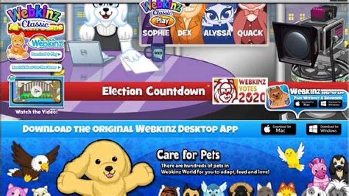 Where can I find the Webkinz studio on my computer?