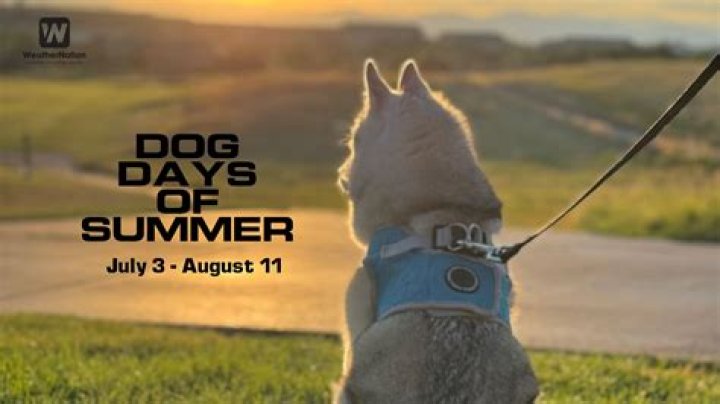 Where did dog days of August come from?