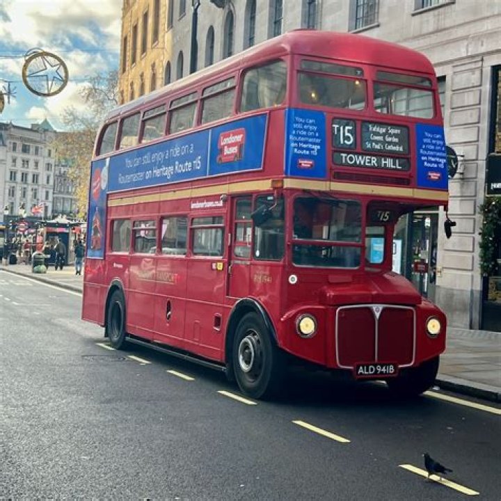 Where did the buses come from?