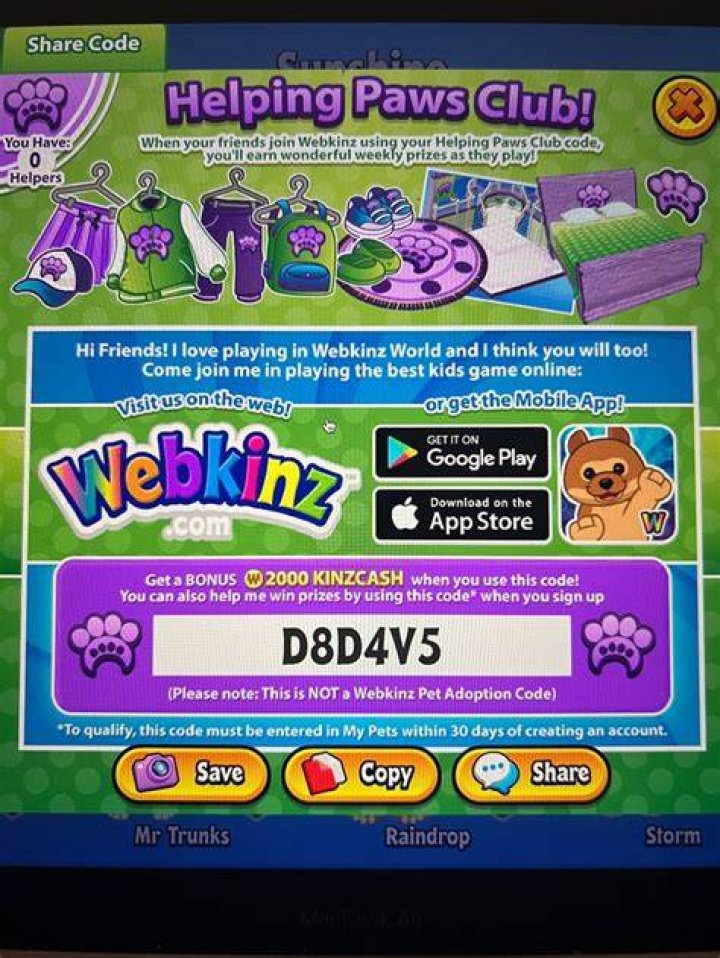 Where do I enter my Webkinz Code?