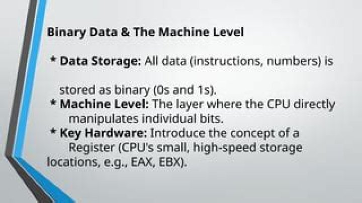 Where is binary data stored?