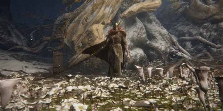 Where is final boss Elden Ring?