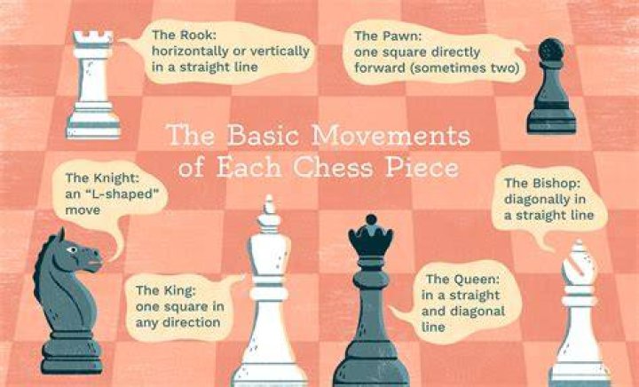 Which chess piece can move over another piece?