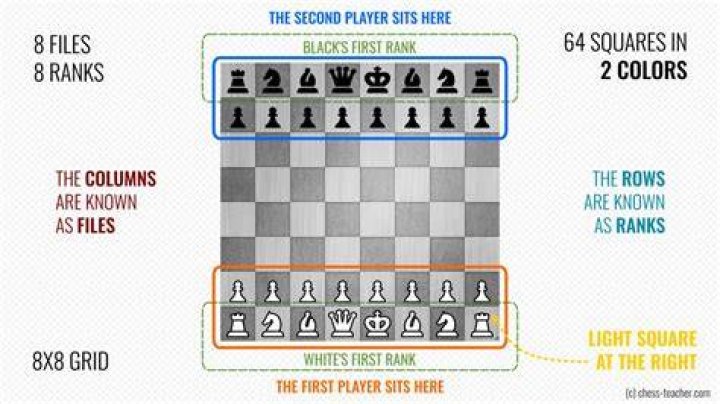 Which chess pieces starts on squares?