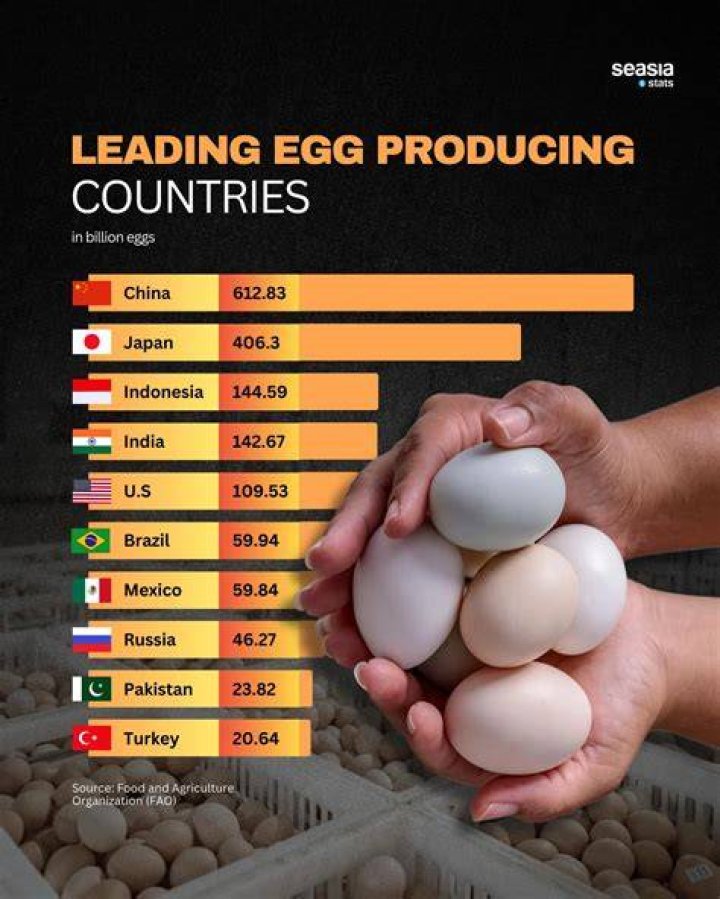 Which countries wash eggs?