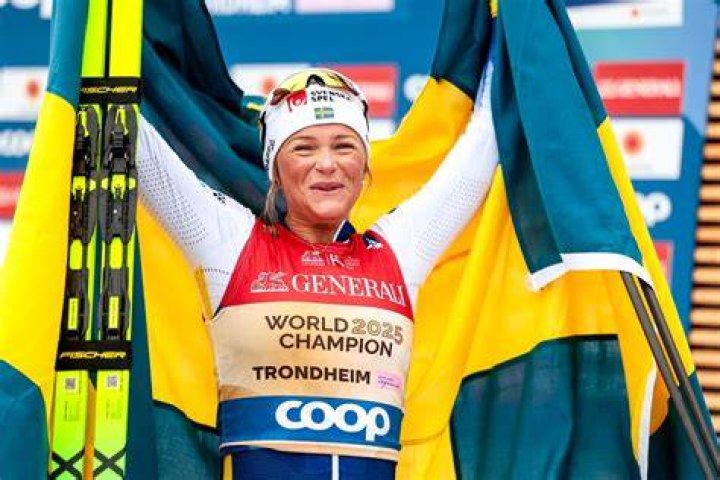Which cross country skier won 5 medals at the 2010 Winter Olympics?