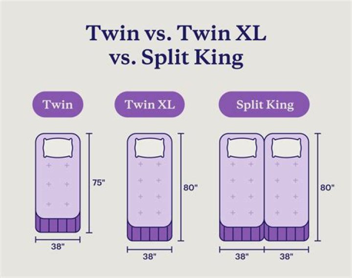 Which is correct twin sister or twin sisters?