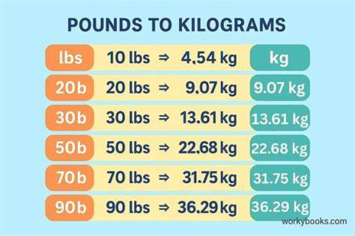 Which is heavier kg or g?