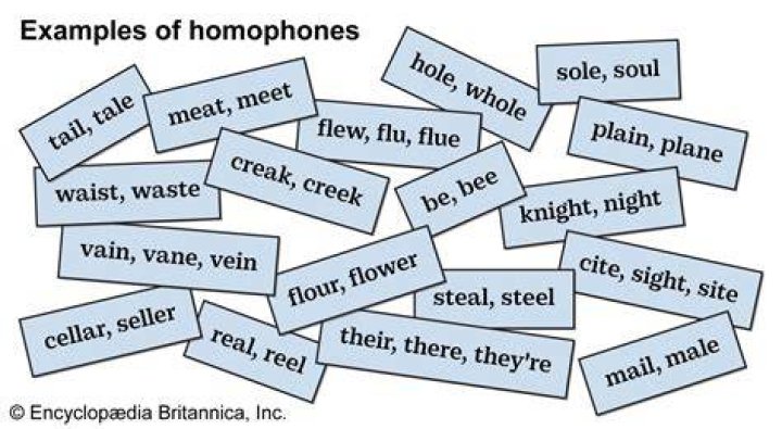 Which is the best definition of a homophone Riddle?