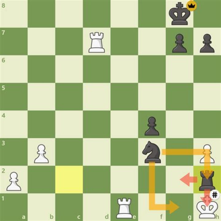 Which piece Cannot deliver checkmate?